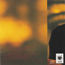 Load image into Gallery viewer, Darden Smith : Little Victories (CD, Album)