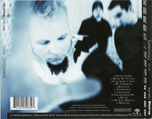 Charger l'image dans la galerie, Evanescence : Fallen (CD, Album, RE, Ter)