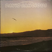 Load image into Gallery viewer, David Sancious : David Sancious (LP, Album)