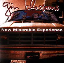 Laden Sie das Bild in den Galerie-Viewer, Gin Blossoms : New Miserable Experience (LP, Album, RE)
