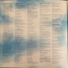 Laden Sie das Bild in den Galerie-Viewer, Joy Oladokun : Proof of Life (2xLP, Album)