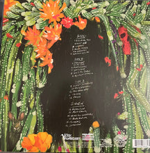 Laden Sie das Bild in den Galerie-Viewer, Joy Oladokun : Proof of Life (2xLP, Album)