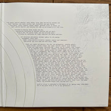 Laden Sie das Bild in den Galerie-Viewer, LCD Soundsystem : Sound Of Silver (2xLP, Album, RE, Gat)