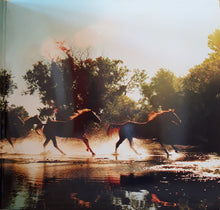 Load image into Gallery viewer, Lucinda Williams : West (2xLP, Album)