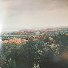 Load image into Gallery viewer, Various : I Love New York (LP, Comp, Gat)
