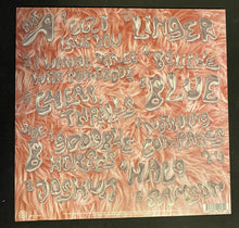 Charger l'image dans la galerie, Joshua Ray Walker : What Is It Even? (LP, Album, Ltd, Pin)