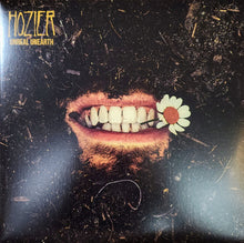 Load image into Gallery viewer, Hozier : Unreal Unearth (2xLP, Album)