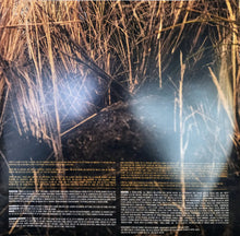 Load image into Gallery viewer, Hozier : Unreal Unearth (2xLP, Album)