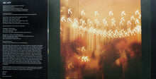 Load image into Gallery viewer, Spanish Love Songs : No Joy (LP, Album, Whi)