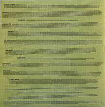 Load image into Gallery viewer, The Shins : Wincing The Night Away (LP, Album, RE)