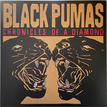 Laden Sie das Bild in den Galerie-Viewer, Black Pumas : Chronicles Of A Diamond (LP, Album, Cle)