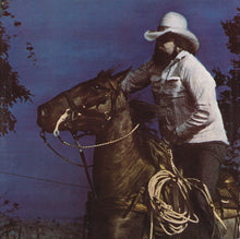 Load image into Gallery viewer, The Charlie Daniels Band : Nightrider (LP, Album, RE, Blu)