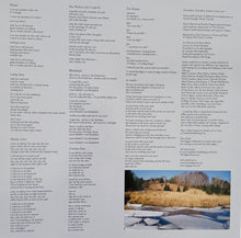 Load image into Gallery viewer, Bon Iver : For Emma, Forever Ago (LP, Album, RE, GZ )