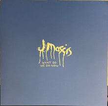 Load image into Gallery viewer, J Mascis : What Do We Do Now (LP, Album, Ltd, Pur)