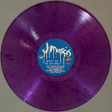 Load image into Gallery viewer, J Mascis : What Do We Do Now (LP, Album, Ltd, Pur)