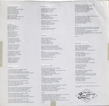 Load image into Gallery viewer, David Bromberg Band : Bandit In A Bathing Suit (LP, Album, San)