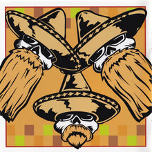 Load image into Gallery viewer, ZZ Top : Mescalero (CD, Album)