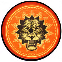 Load image into Gallery viewer, SuperHeavy : SuperHeavy (LP, Album)