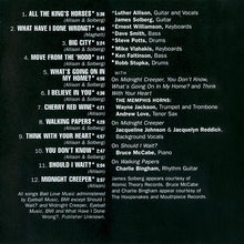 Load image into Gallery viewer, Luther Allison : Blue Streak (CD, Album)