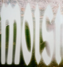 Load image into Gallery viewer, Wet Leg : Moisturizer (LP, Album)