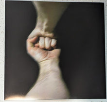 Load image into Gallery viewer, The Mountain Goats : The Sunset Tree (LP, Album, Ltd, RE, RM, OBI)