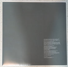 Load image into Gallery viewer, The Mountain Goats : The Sunset Tree (LP, Album, Ltd, RE, RM, OBI)