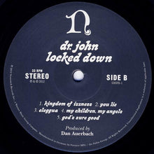 Load image into Gallery viewer, Dr. John : Locked Down (LP, Album + CD, Album)