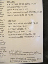 Load image into Gallery viewer, Townes Van Zandt : For The Sake Of The Song (LP, Album, RE)