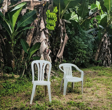 Laden Sie das Bild in den Galerie-Viewer, Bad Bunny : Debí Tirar Más Fotos (2xLP, Album, RE, Whi)