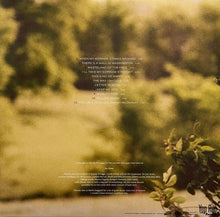 Charger l'image dans la galerie, Iris DeMent : The Way I Should (LP, Album, RSD, Ltd, RE, RM, Blu)