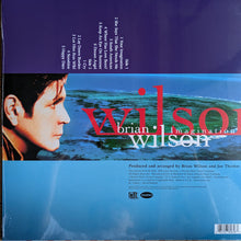 Load image into Gallery viewer, Brian Wilson : Imagination (LP, Album, RSD, RE)