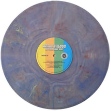 Load image into Gallery viewer, Brian Wilson : On Tour 1999-2007 (LP, Album, RSD)