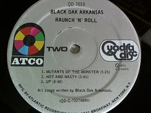 Laden Sie das Bild in den Galerie-Viewer, Black Oak Arkansas : Raunch 'N' Roll Live (LP, Album, Quad, RI )
