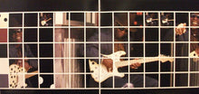 Laden Sie das Bild in den Galerie-Viewer, Buddy Guy : Skin Deep (2xLP, Album)