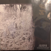 Laden Sie das Bild in den Galerie-Viewer, Bon Iver : For Emma, Forever Ago (LP, Album, RE, Eco)