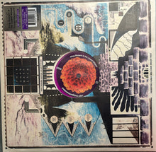 Load image into Gallery viewer, King Gizzard And The Lizard Wizard : Polygondwanaland (LP, S/Edition, rPE)