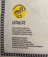 Load image into Gallery viewer, King Gizzard And The Lizard Wizard : Polygondwanaland (LP, S/Edition, rPE)