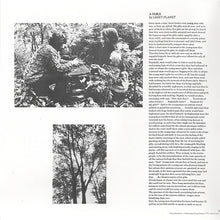 Laden Sie das Bild in den Galerie-Viewer, Van Morrison : Moondance (LP, Album, RE, Gat)