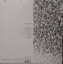 Load image into Gallery viewer, Wilco : Sky Blue Sky (2xLP, Album + CD, Promo, Smplr)