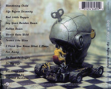 Charger l'image dans la galerie, Gov't Mule : Life Before Insanity (CD, Album)
