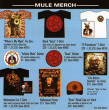 Charger l'image dans la galerie, Gov't Mule : Life Before Insanity (CD, Album)