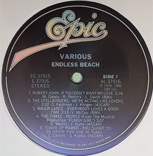 Load image into Gallery viewer, Various : Endless Beach (2xLP, Comp, Ter)
