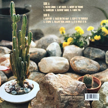 Charger l'image dans la galerie, Kacey Musgraves : Same Trailer Different Park (LP, Album)