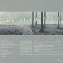 Load image into Gallery viewer, Fitz And The Tantrums : More Than Just A Dream (LP, Album, 180)
