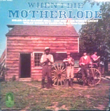 Load image into Gallery viewer, Motherlode (2) : When I Die (LP, Album, Son)