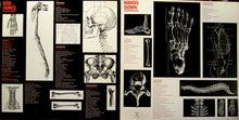 Laden Sie das Bild in den Galerie-Viewer, Bob James : Hands Down (LP, Album, Gat)