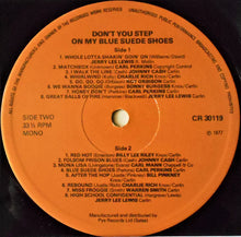 Load image into Gallery viewer, Various : Don't You Step On My Blue Suede Shoes (LP, Comp)