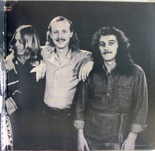 Load image into Gallery viewer, The Allman Brothers Band : Enlightened Rogues (LP, Album, M/Print, 72 )