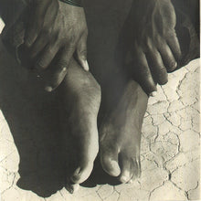 Laden Sie das Bild in den Galerie-Viewer, Tracy Chapman : Crossroads (CD, Album)