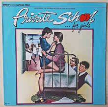 Laden Sie das Bild in den Galerie-Viewer, Various : Private School (Music From The Original Motion Picture Soundtrack) (LP, MiniAlbum)